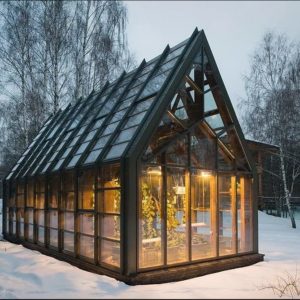 Зимний сад на улице Зимний сад на улице